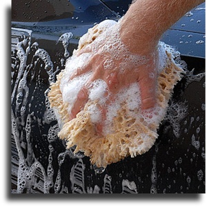 truck wash soap