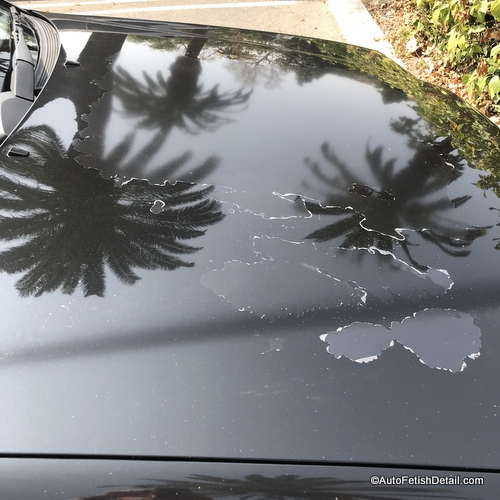 Severe clear coat peel- how to fix without repainting?