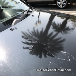 Article - Clear Answers about Clear Coat Paint
